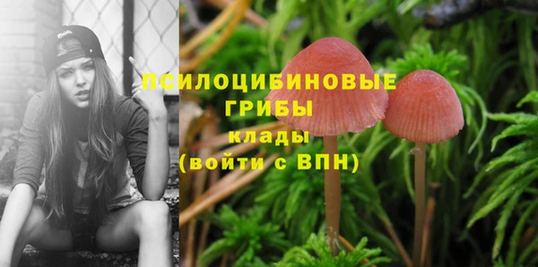 apvp Аркадак